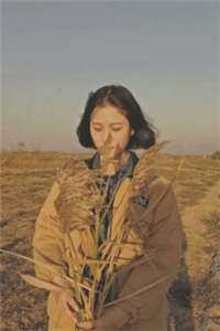 村少闯花都王